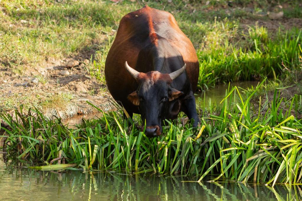 The Fantasy of Living Outside&nbsp;Politics